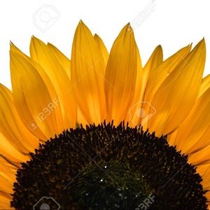 Meet your Posher, Hailey